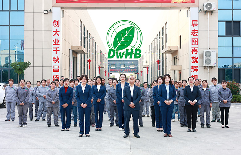 Jiangsu Dongwang Ambiental Protection Technology Group Co., Ltd.
